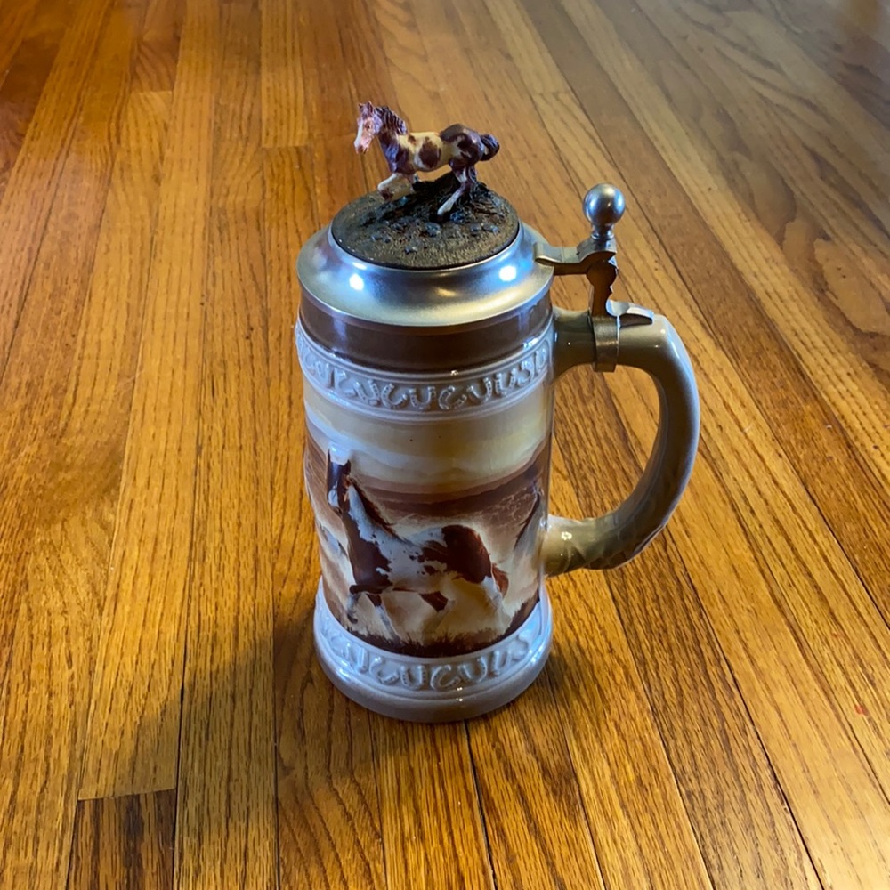 Wild mustang collector Stein